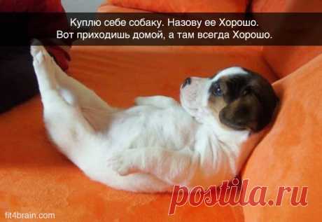 Пусть у всех и всегда всё будет ХО-РО-ШО!) 
...Всё началось пару лет назад. Тогда в нашей жизни происходило очень много перемен и период был очень тяжелый...