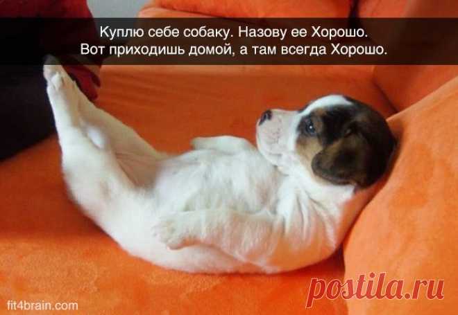 Пусть у всех и всегда всё будет ХО-РО-ШО!) 
...Всё началось пару лет назад. Тогда в нашей жизни происходило очень много перемен и период был очень тяжелый...