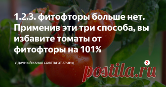1.2.3. фитофторы больше нет. Применив эти три способа, вы избавите томаты от фитофторы на 101% Фитофтороз у томатов, одно из самых распространенных и коварных заболеваний. Оно способно уничтожить урожай полностью. Большинство огородников знают об этой проблеме не по наслышке и за многие годы научились бороться с этой проблемой. Сегодня я вам расскажу по настоящему действенные методы. Если вы соблюдете их. То фитофтора вам не грозит.
1. Когда вы посадили рассаду томатов на постоянное место в