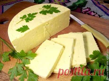Ленивая домашняя брынза

Эта брынза чрезвычайно нежная и вкусная!

Для приготовления брынзы необходимы такие продукты:
— 2,5 л молока (домашнего)
— 1 стакан кефира
— 2,5 стакана сметаны
— 8 яиц
— 2,5 ст.л. соли (без верха)

Молоко для этого рецепта лучше брать домашнее, так как жирность его должна быть максимально высокой. Если у вас нет возможности купить домашнее молоко, тогда подойдет молоко жирностью более 2,5%. Оно должно быть натуральным, а не восстановленным из сухо...