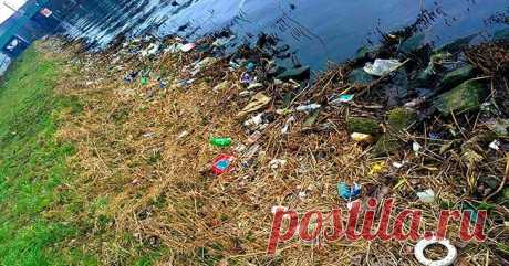 Этого парня очень раздражал мусор. | НАШ ГОРОДОК