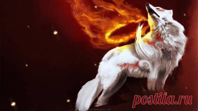 Download Werewolf Wallpaper Over 50+ high-definition Werewolf wallpapers for free download! Customize your desktop, mobile phone and tablet with our Werewolf wallpapers now!