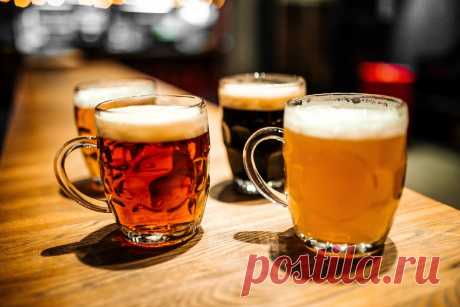 Фильтрованное ПИВО и Нефильтрованное в Чем Подвох | vinodel.beer | Яндекс Дзен