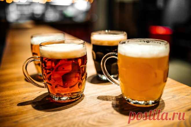 Фильтрованное ПИВО и Нефильтрованное в Чем Подвох | vinodel.beer | Яндекс Дзен