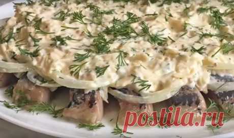 Селедка под сырным соусом: изумительная закуска на скорую руку | Таки Вкусно