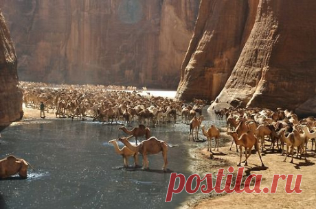 Недалеко от пустыни Эннеди, расположенной на северо-востоке чада