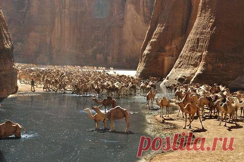 Недалеко от пустыни Эннеди, расположенной на северо-востоке чада