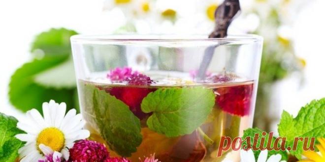 Венозный застой головного мозга : Народная медицина : Здоровье : Subscribe.Ru