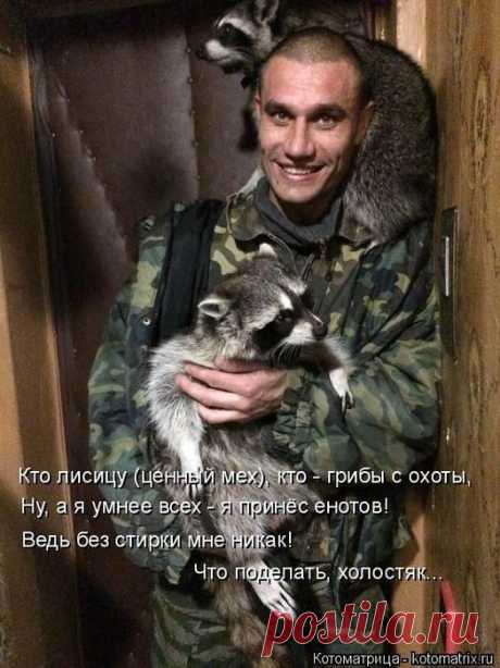 Cамые смешные котоматрицы - 49 картинок