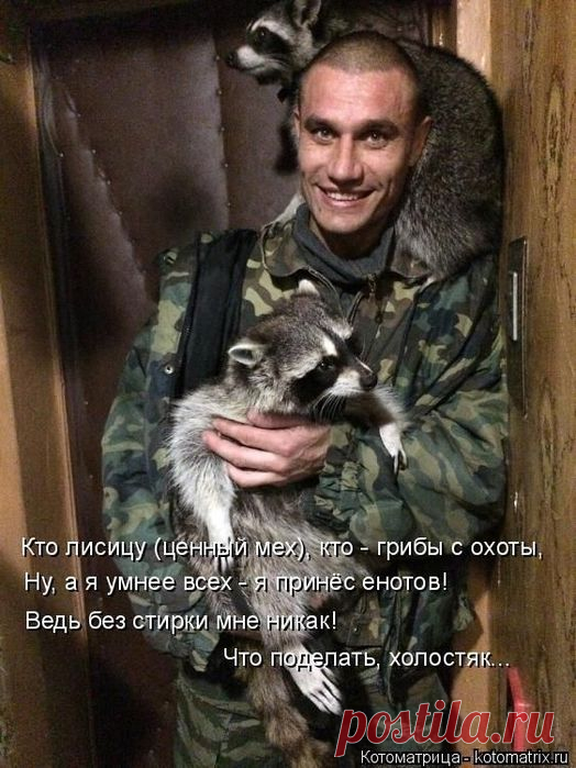 Cамые смешные котоматрицы - 49 картинок
