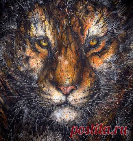 БРЫЗГИ ТВОРЧЕСТВА ОТ HUA TUNAN