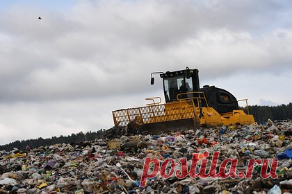 На российском мусорном полигоне нашли тело новорожденной девочки. 2 мая на мусорном полигоне в поселке Чернышевске Забайкальского края нашли тело новорожденной девочки. Медицинская экспертиза установила, что ребенок появился на свет мертвым. В данный момент следователи совместно с полицией занимаются розыском его матери. Опрашиваются местные жители.