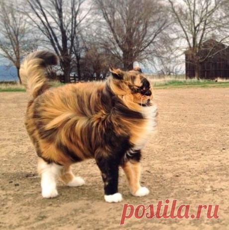 Кратко о погоде