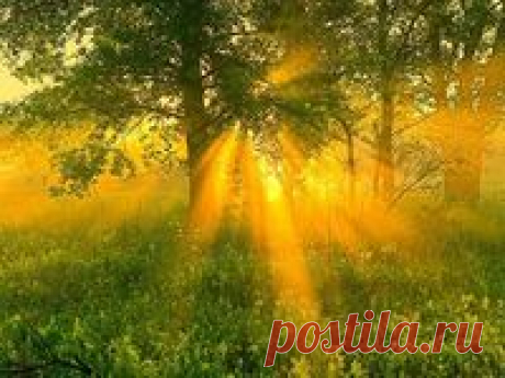 Рассвет 2 апр. 2019 г. - Просмотрите доску «Рассвет» пользователя Ylia Maltseva в Pinterest. Посмотрите больше идей на темы «рассвет, закаты, пейзажи».