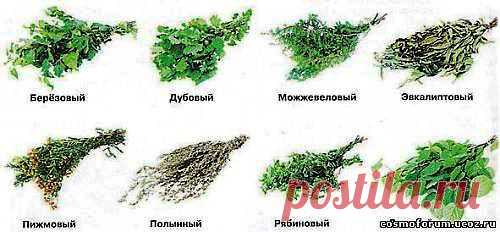 Из чего делать банный веник?
