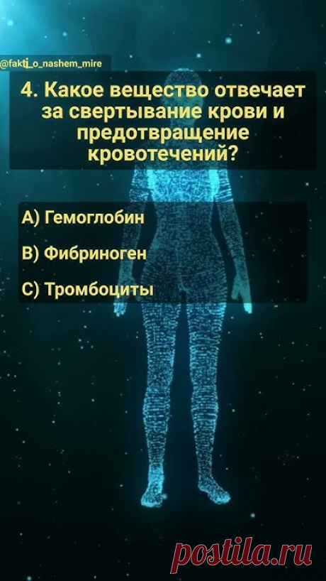 Викторина: Наше тело. Часть 16. #угадай #эрудиция #знания #анатомия