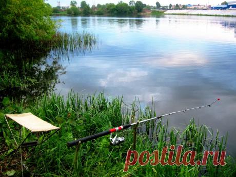 Котлеты из щуки. Как их готовили на пароходе Володарский 100 лет назад?