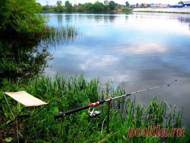 Котлеты из щуки. Как их готовили на пароходе Володарский 100 лет назад?