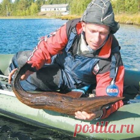 Новости - МирТесен