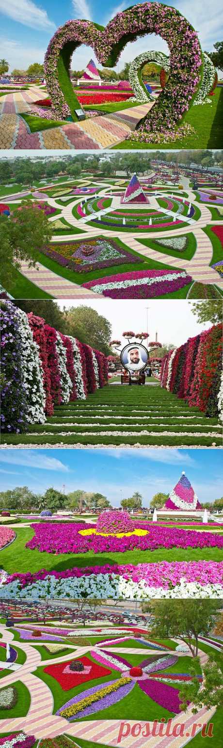 Цветочная сказка парка Al Ain Paradise » Хорошее настроение от блога позитива pozitiv-news.ru
