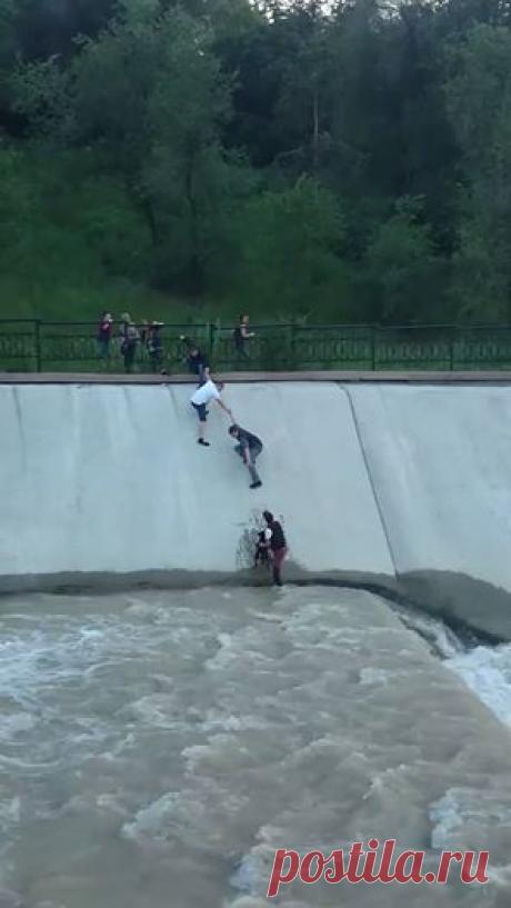 (15) Дрожжевые булочки с чесноком и укропом. Красиво... - Рецепты от Шеф-Повара
