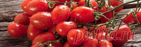 Pomodori San Marzano - pomodori - san marzano - pomodori italiani - greatitalianfoodtrade