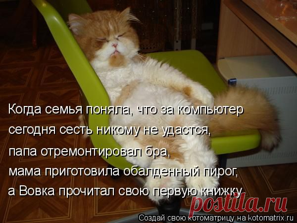 Котоматрица: Круть
