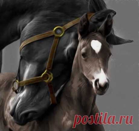 #фототемыКОНИ
