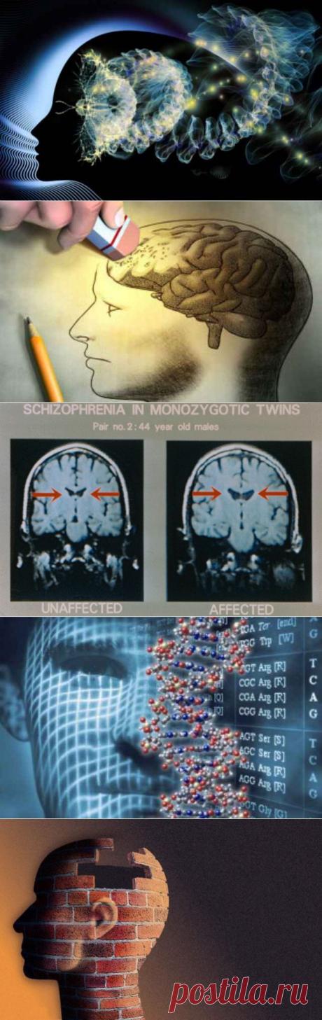Шокирующие мифы современной психиатрии | Наука и техника