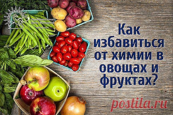 Как избавиться от химии на фруктах и овощах

От нитратов и пестицидов можно частично избавиться: для этого овощи и фрукты нужно правильно вымыть и очистить.

КАПУСТА. Большая часть нитратов содержится в верхних капустных листьях и кочерыжке, поэтому их нужно выбросить.

КАРТОФЕЛЬ. В картофеле нитраты собираются под кожурой и в сердцевине клубня, поэтому после того как картошка закипела, воду необходимо слить.

КАБАЧКИ, ОГУРЦЫ, БАКЛАЖАНЫ. Огурцы по цвету должны быть нежно –...
