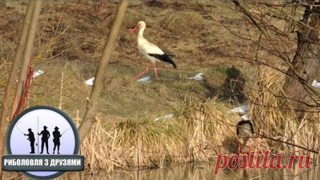 Оренбургская область, Оренбург. ПРОГНОЗ КЛЕВА РЫБЫ