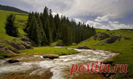 35PHOTO - Чишко Василий - ***