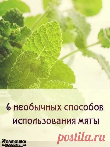 ☝ 6 необычных способов использования м / Женское счастье!