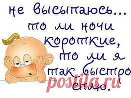 -‘๑’- С Нами Стыдно, зато Весело -‘๑’-