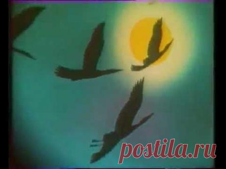 Музыка из передачи программы В мире животных