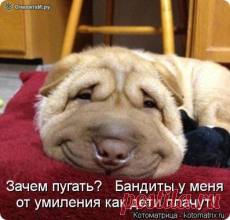 Смехотерапия