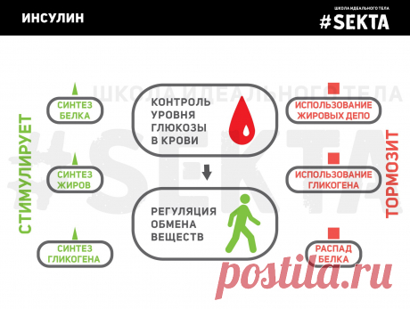 Инсулиновый индекс. Автор: Дарья Киселева – Sektascience: научно-популярный журнал