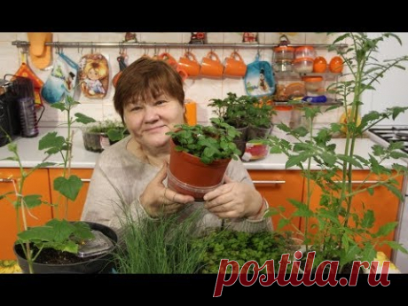 Результаты Экспериментов С Семенами.