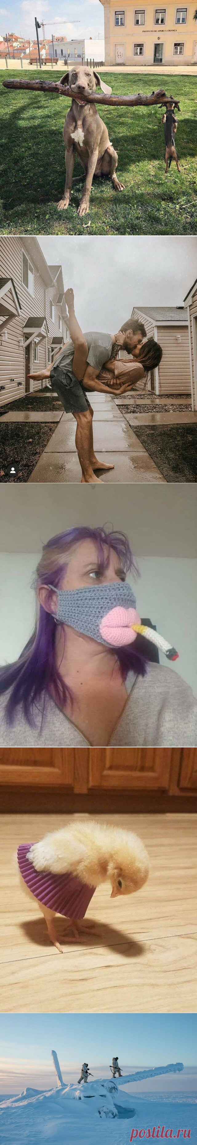 Подборка прикольных картинок и фотографий-252 | glebas@tut.by | Яндекс Дзен