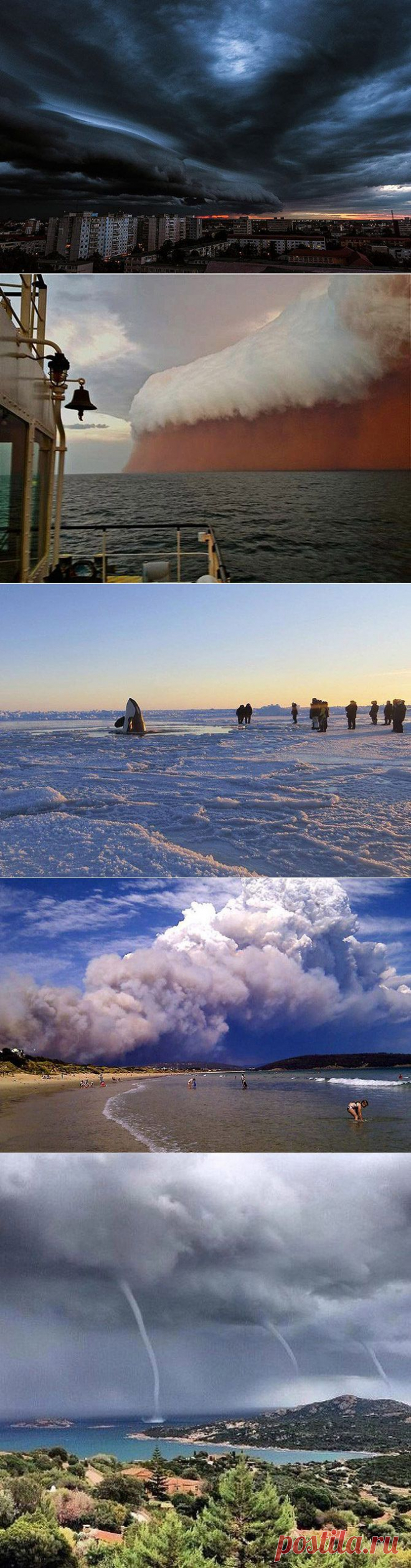 Это потрясло мир / Туристический спутник