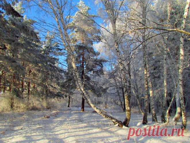 ФОТОМАСТЕРСКАЯ ПРИРОДЫ
Валентина Кобцева