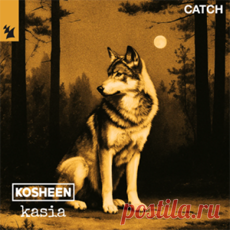 Kosheen, KASIA (ofc) - Catch | 4DJsonline.com