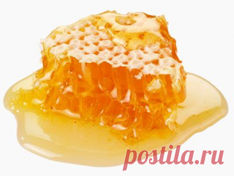 Всё про мёд | Подружки