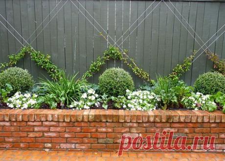 (300) Image result for topiary balls on retaining | topiary