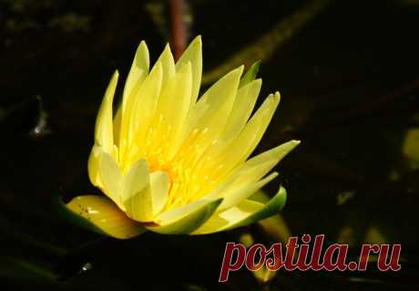 Редактировать описание