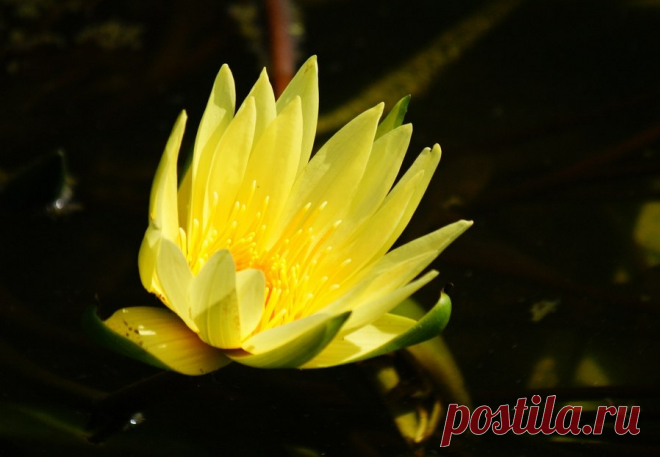 Редактировать описание