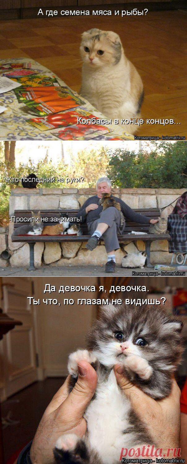 А где семена мяса и рыбы? Колбасы в конце, концов?... | Дай лапку