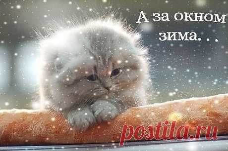 у нас тоже зима за окном.