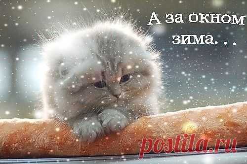 у нас тоже зима за окном.