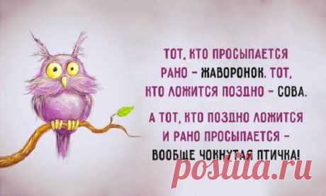 Весёлые картинки — Хорошее настроение – залог удачного дня.